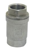 Clapet inox F/F toutes positions